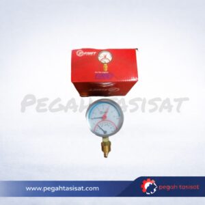 ترمومتر مانومتر فمیت